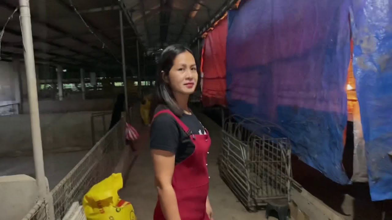 Farm Tour + Story of our farm + from  office girl to agripreneur