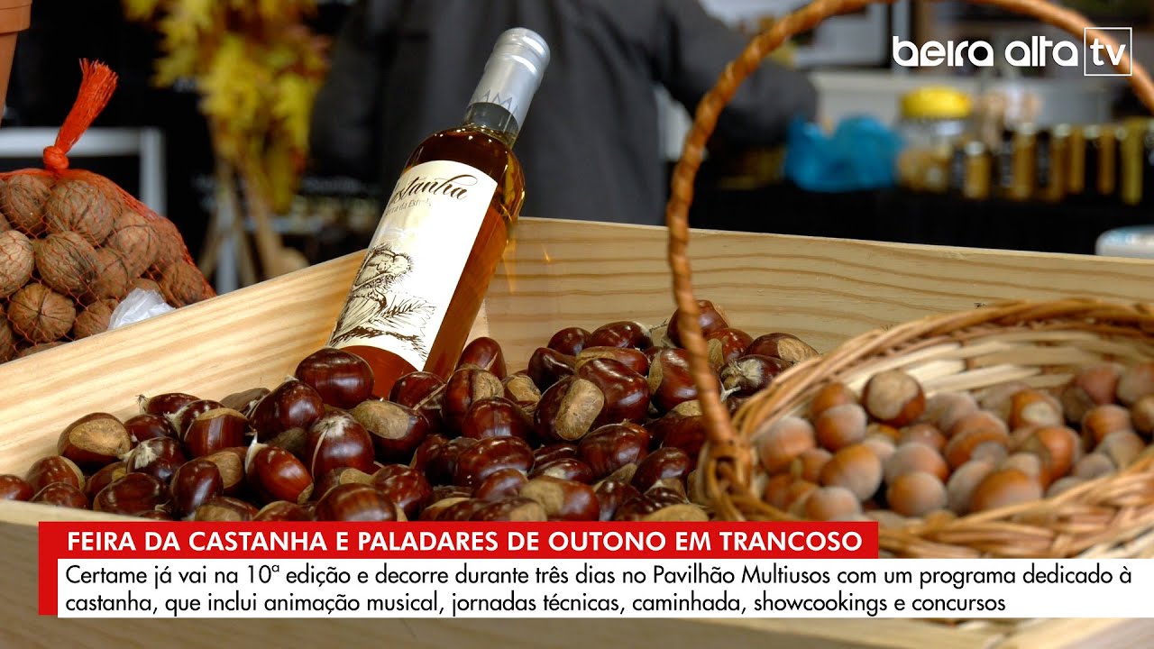 Castanha é a rainha de Trancoso na 10ª Feira da Castanha e Paladares de Outono