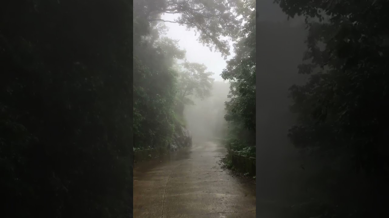 Coorg 🍃💚|| KODAGU TOURISM ❗