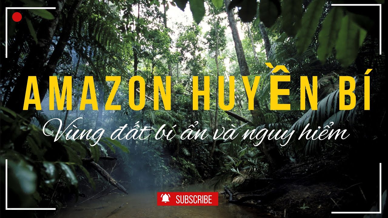Rừng Amazon: Khu Rừng Lớn Nhất Thế Giới với Những Bí Ẩn Rùng Rợn, Nguy Hiểm Và Sự Thật Kinh Ngạc