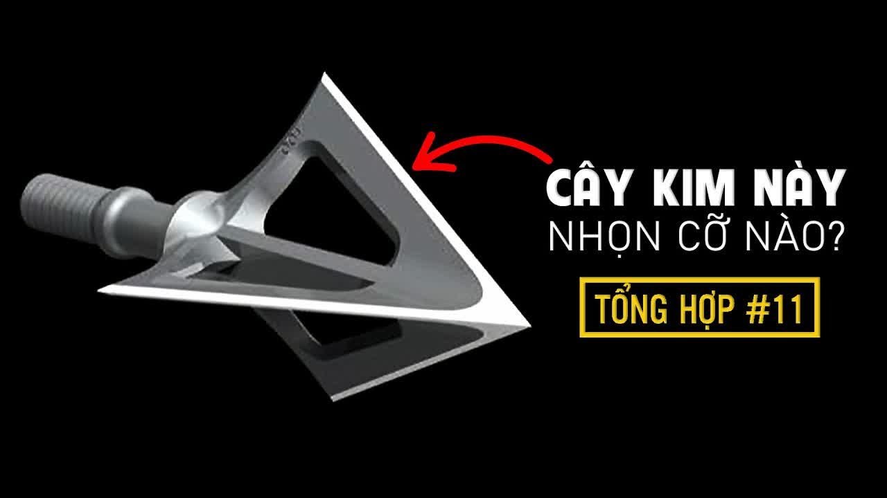 #855 Đâu Là Thứ Sắc Nhọn Nhất Thế Giới? | Siêu Tổng Hợp Bạn Hỏi VFacts Trả Lời #11