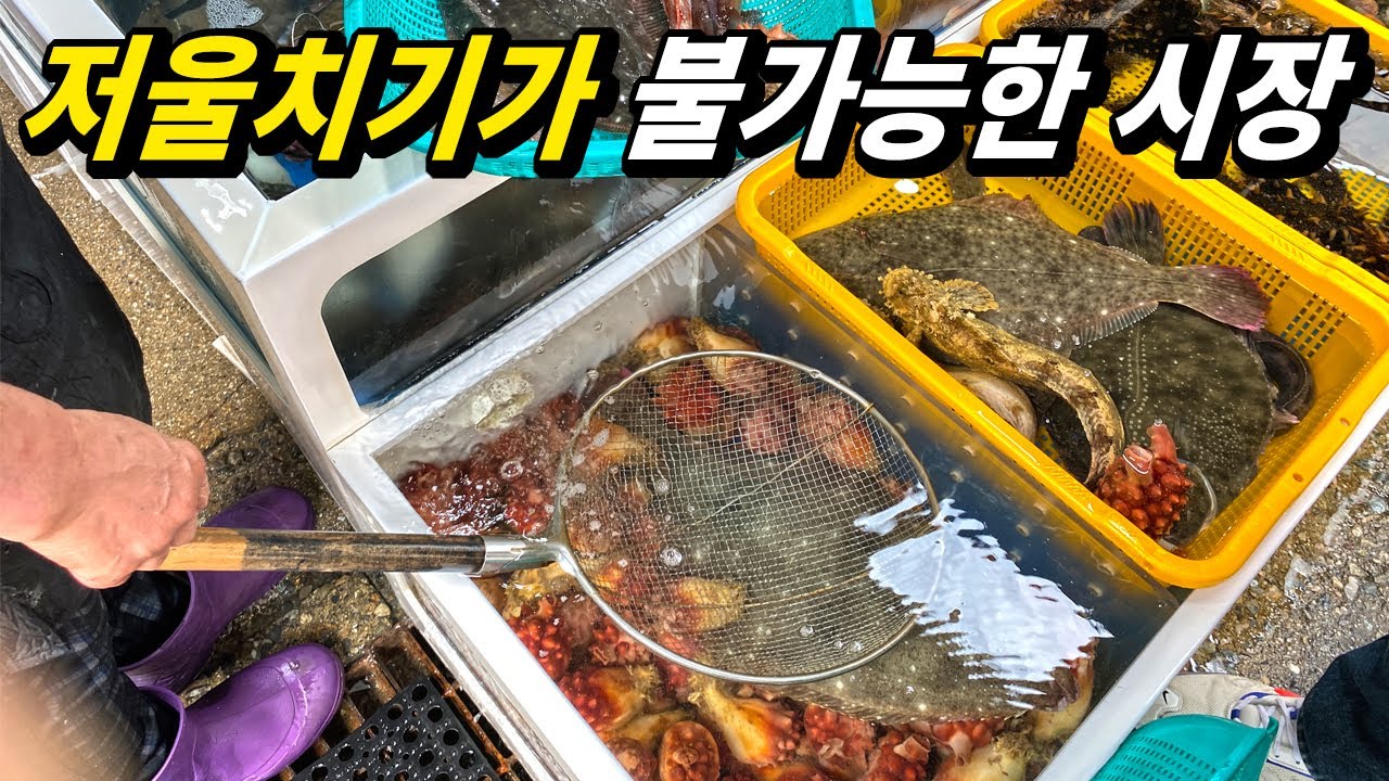 속초에 이런 시장이 있었어? 즉석에서 흥정해 제철 수산물 즐기기(입질의 해산로드 #15, 설악항편)