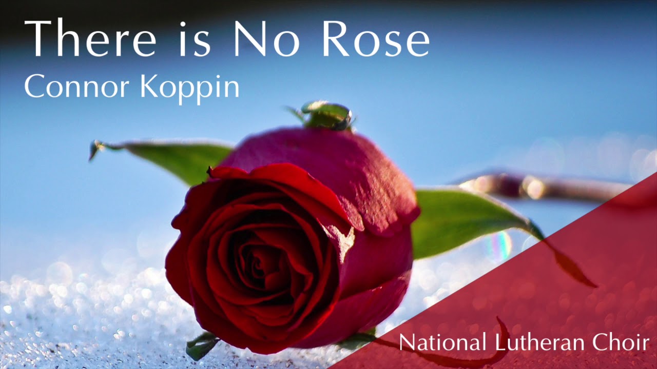 There is No Rose - Connor Koppin | National Lutheran Choir