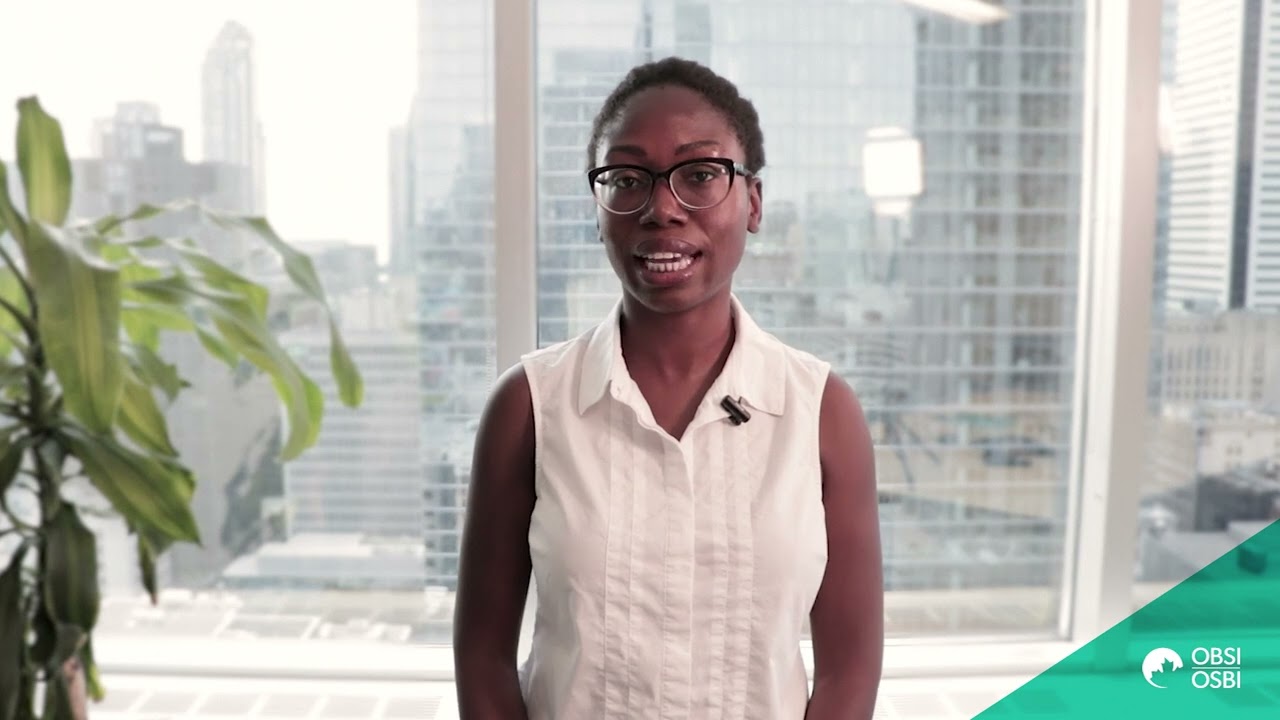 What is the role of the Case Assessment Officer (CAO)?