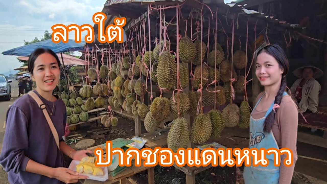 #เที่ยวลาวใต้ ปากชองแดนหนาวสาวงาม #สาวลาว #สปปลาว
