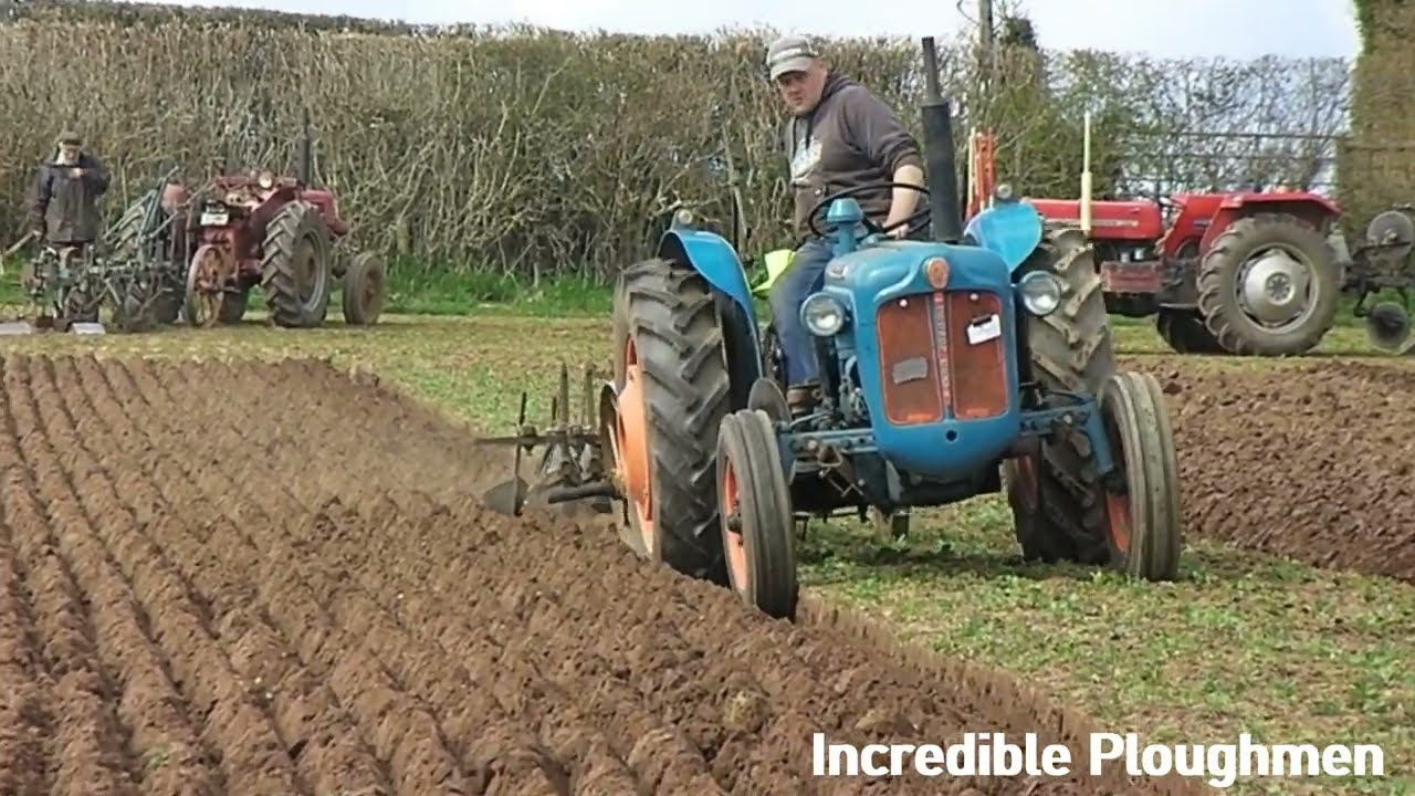 1964 Fordson Super Dexta 2.5 Litre 3-Cyl Diesel Tractor (39 HP) - High Cut Ploughing at Hereford