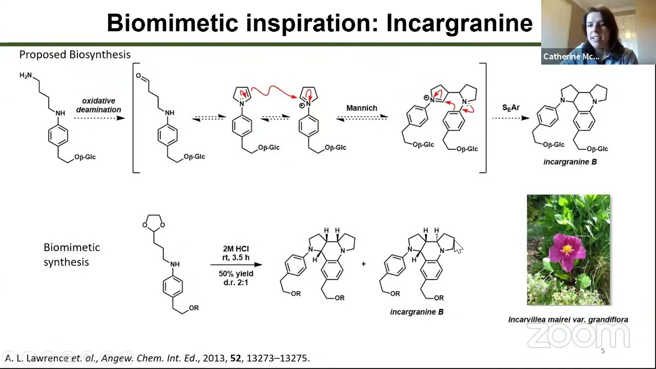 Catherine McKenna – A Natural Product Inspired Amine Donor for Transaminase Enzymes
