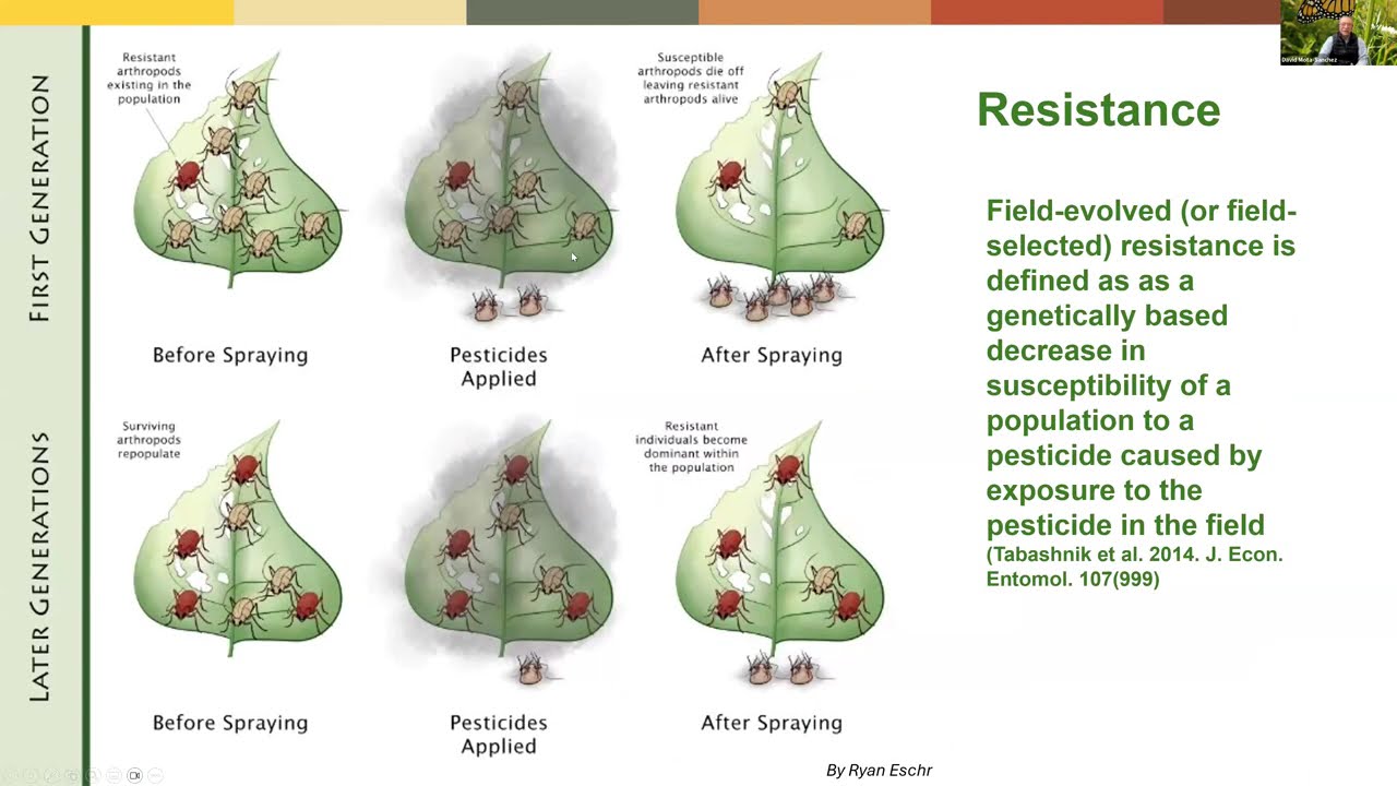 Staying Ahead of Resistance: Lessons