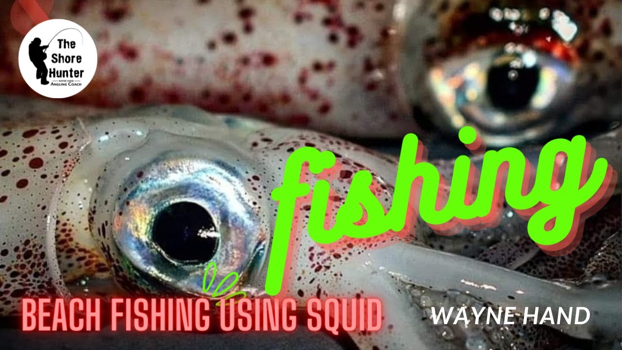 Chesil Beach, Using Squid.  Baiting Up With A Bait Needle
