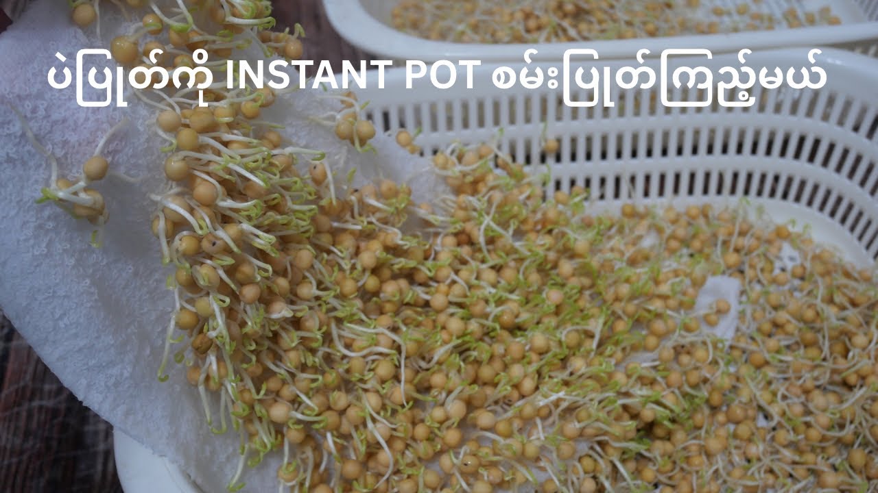 ဖောက်ထားတဲ့ ပဲပြုတ်ကို Instant Pot နဲ့ အစမ်း ပြုတ်ကြည့်မယ် #ပဲပြုတ်