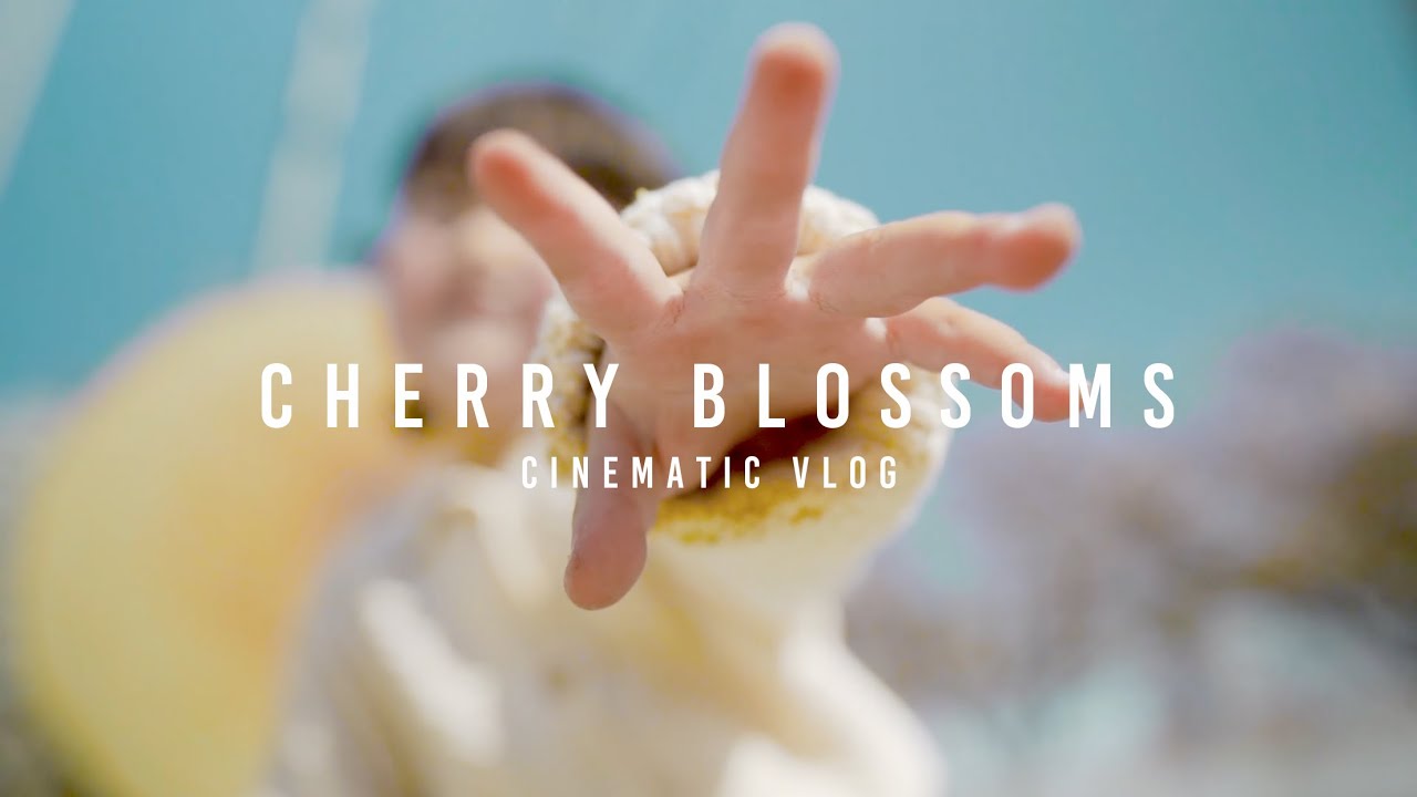 Cinematic Vlog / Cherry blossoms -桜- 子供との日常をシネマティックに