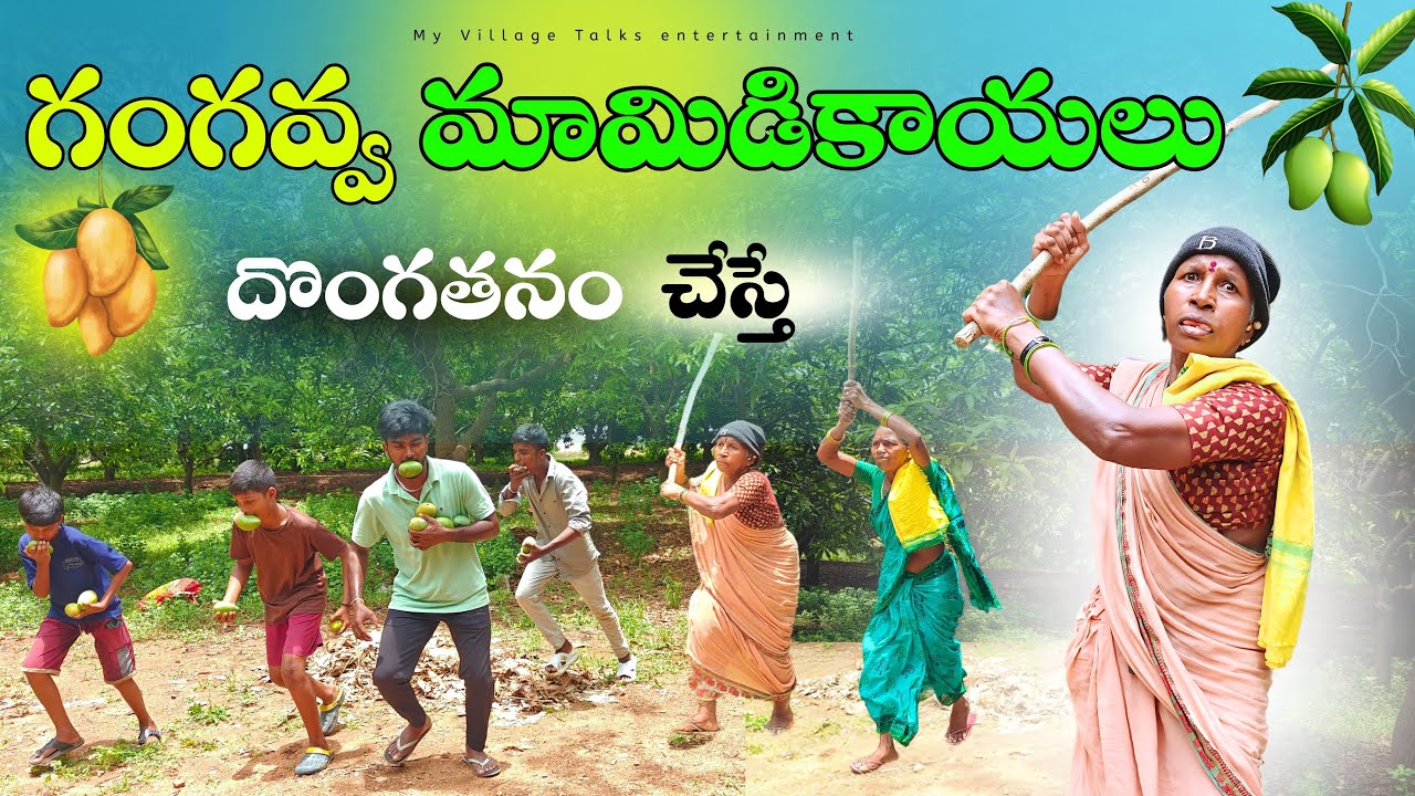 గంగవ్వ  మామిడికాయలు దొంగతనం చేస్తే | 4K | Village Comedy | My Village Talks Entertainment
