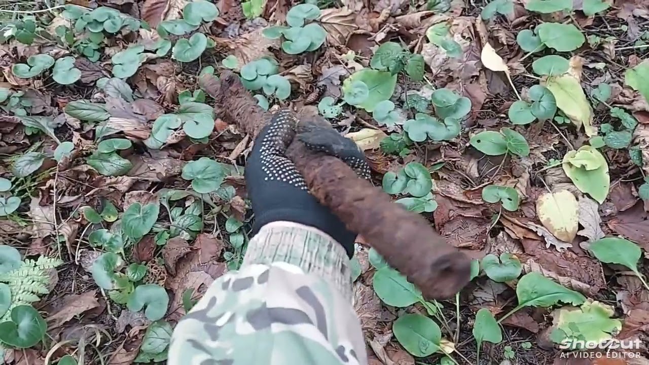 Коп по войне Гжатск