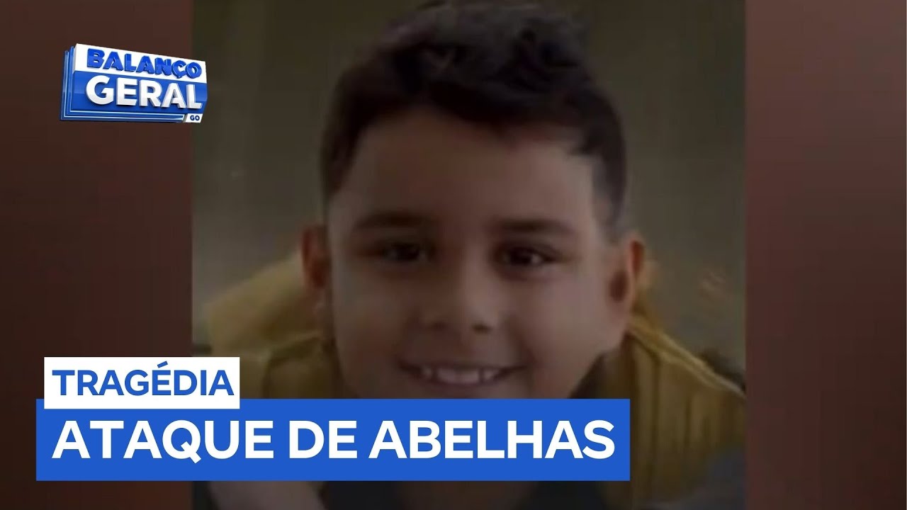 Menino de 9 anos morre após ser atacado por mais de mil abelhas em Catalão (GO)