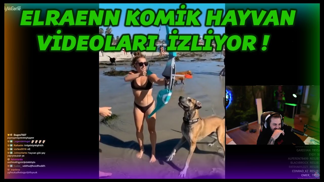 ELRAENN - KOMİK HAYVAN VİDEOLARI İZLİYOR !