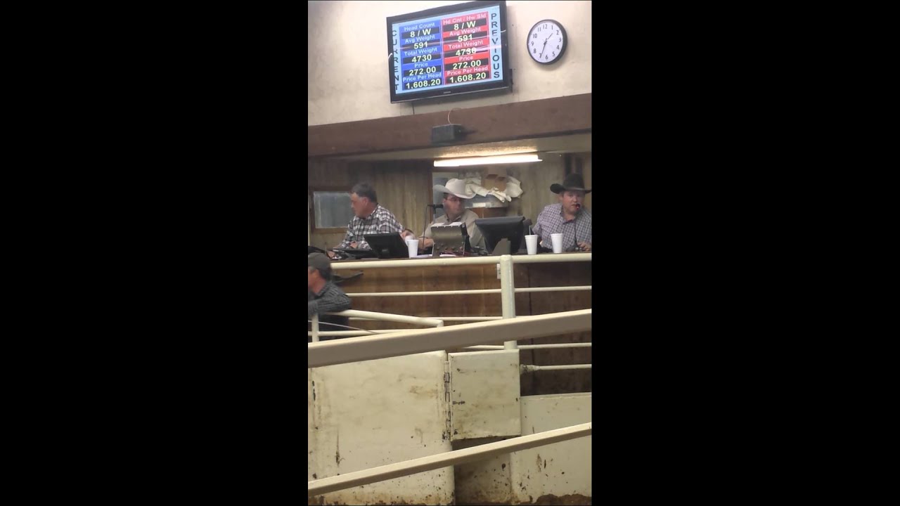 Roger Emigh 1991 World Champion