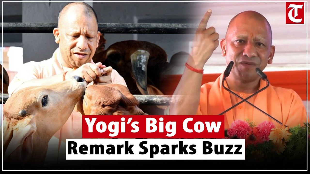 CM Yogi&rsquo;s Big Statement on Cow as National Animal Sparks Political Debate in Uttar Pradesh