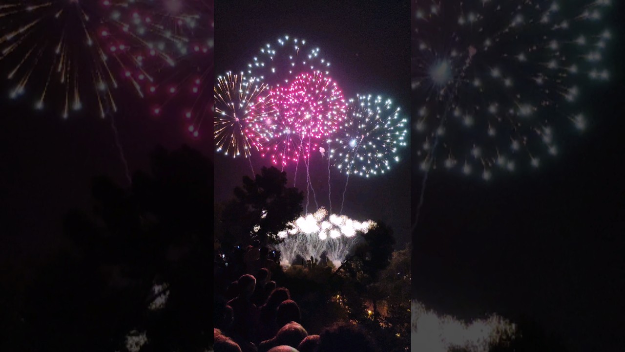 El castillo de fuegos artificiales Elche 15 agosto 2023 #fiestaselche #elche #travelspain #travel