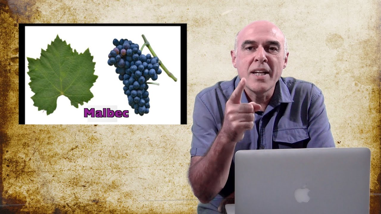 Malbec
