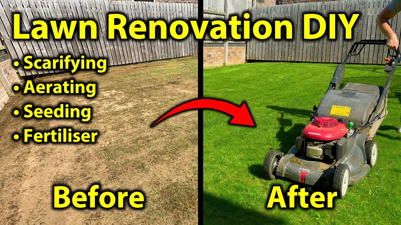 Lawn Renovation - DIY Fix in One Season