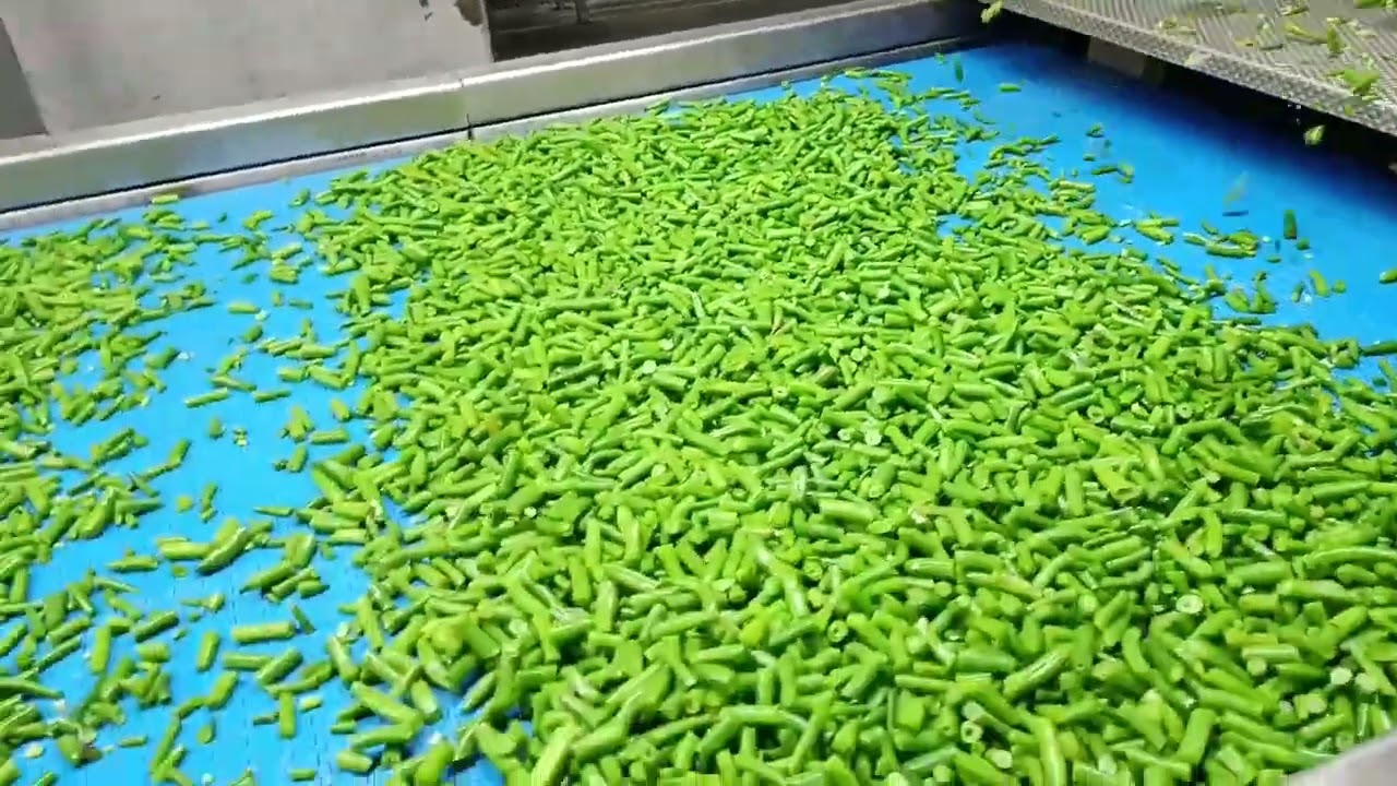 IQF Frozen Green Beans