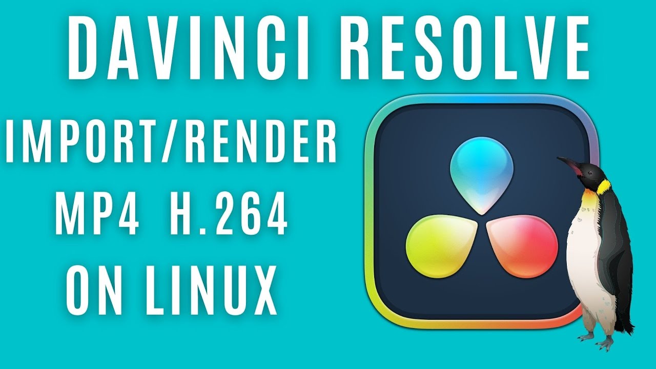Working with MP4 H264 in DaVinci Resolve on Linux