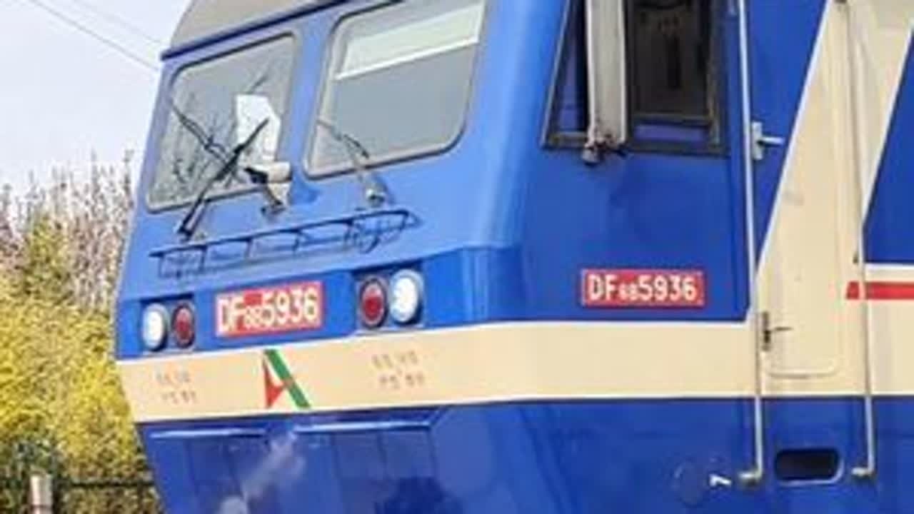 益羊铁路十公里道口拍车 【2024.04.05】山东高速DF8B5936牵引货列通过益羊线十公里道口#铁路 #铁路摄影 #df8b #益羊铁路 #内燃机车永不落幕
