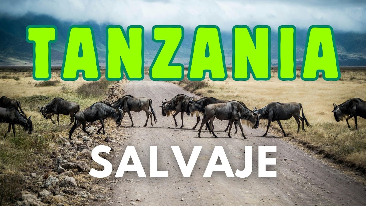 Viaja a TANZANIA: Safari, playas paradisíacas y más SECRETOS por descubrir 🌍