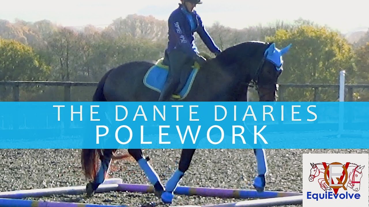 Trot Poles & Canter Pole Exercises Four Leaf Clover, Diagonal Corners & Accurate Circles
