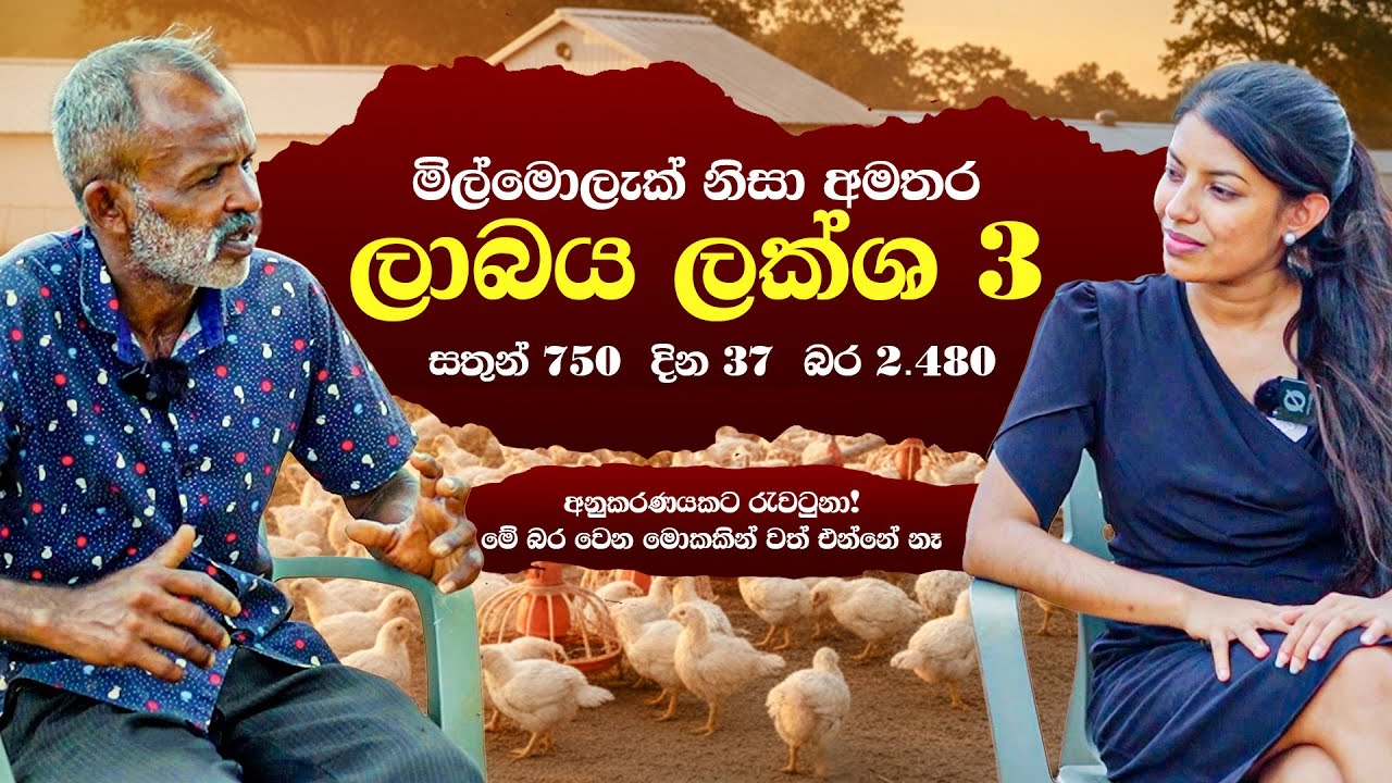 මිල්මොලැක් නිසා ලාබය ලක්ෂ තුනක් | Milmolac | Farm Innovation Solutions