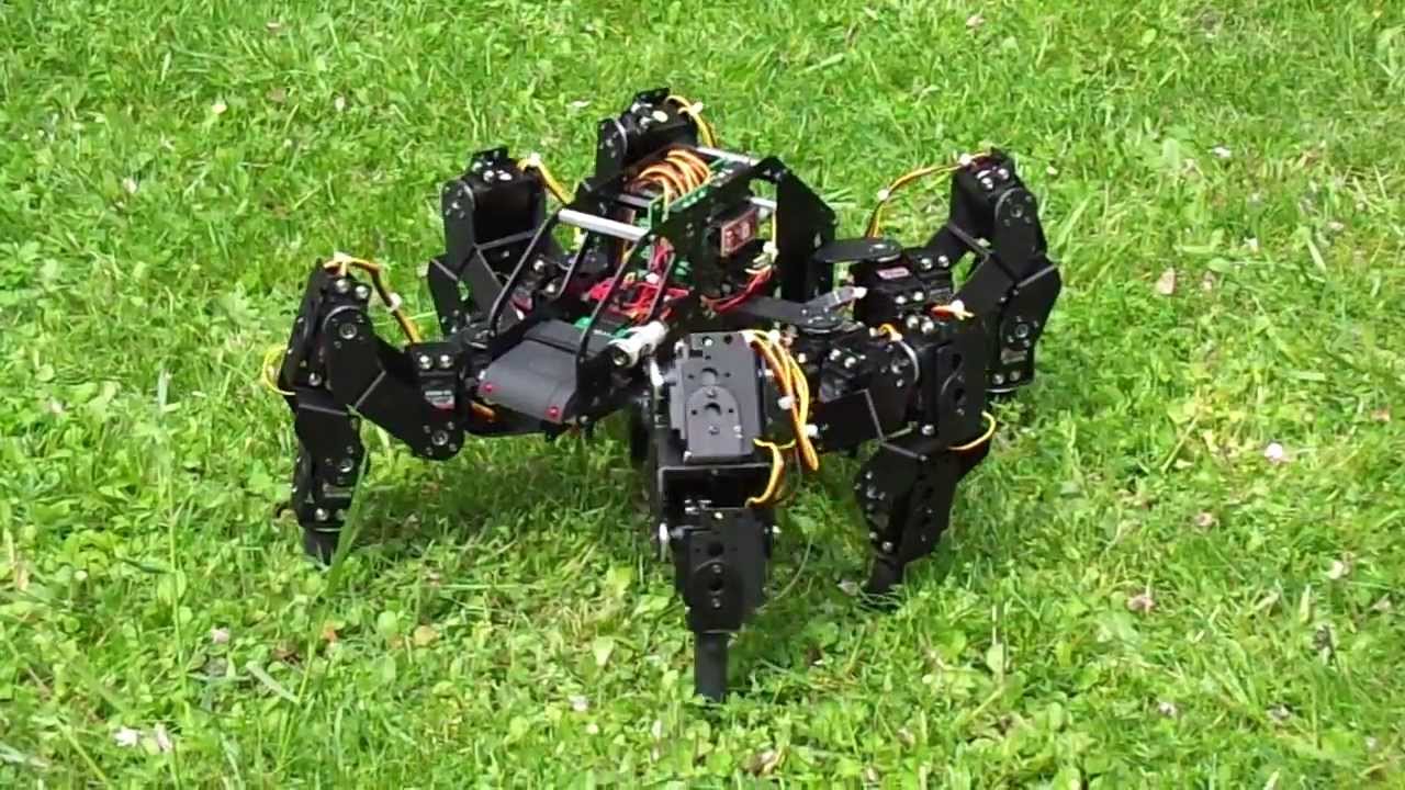 Hexapod T-HEX 4DoF outside walking in grass (High Definition Video)