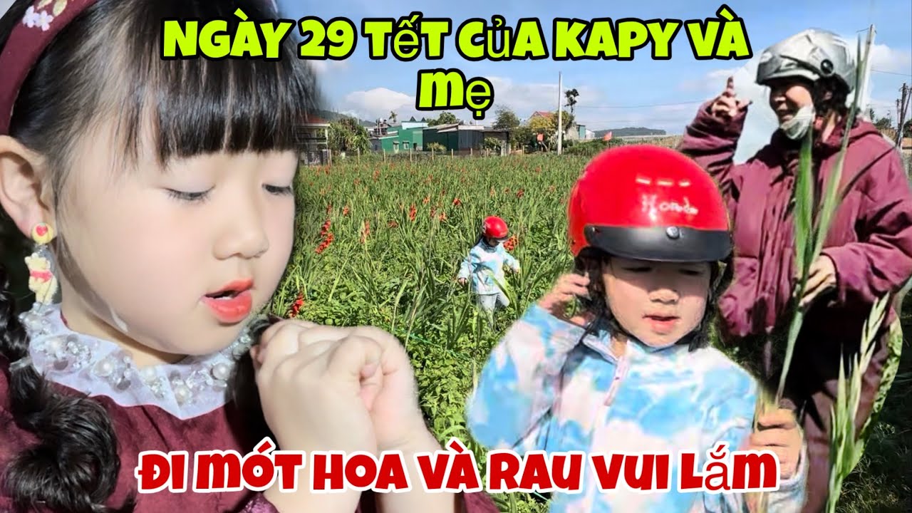 Ngày cuối năm hai mẹ con kapy đi mót hoa và rau 