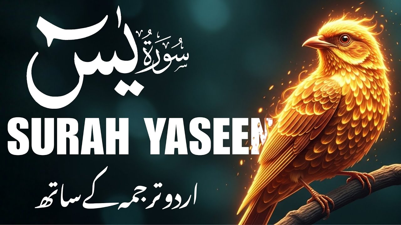 Listen Surah Yaseen (Yasin) with Urdu Translation | Beautiful & Heart Soothing Tilawat | قاری منصور
