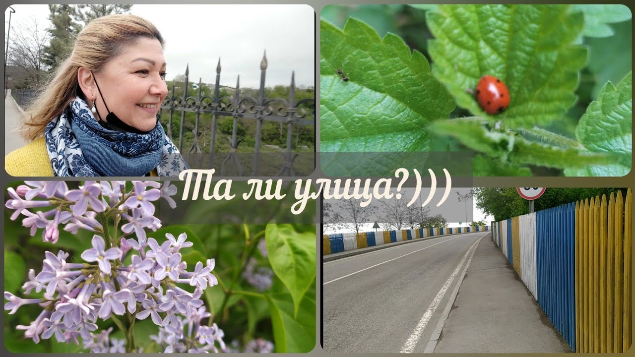 #Кусары/ул. Свободы?/ул. Сердара Сафарова/Собаки напали🐕‍🦺😬