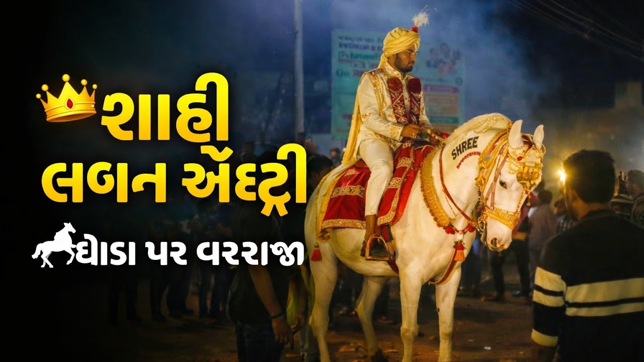 લગ્નમાં ઘોડી નો જોરદાર ડાન્સ શાહી લગ્ન એન્ટ્રી | ઘોડા પર વરરાજા👑#trending #viral #vilog #shorts #cat