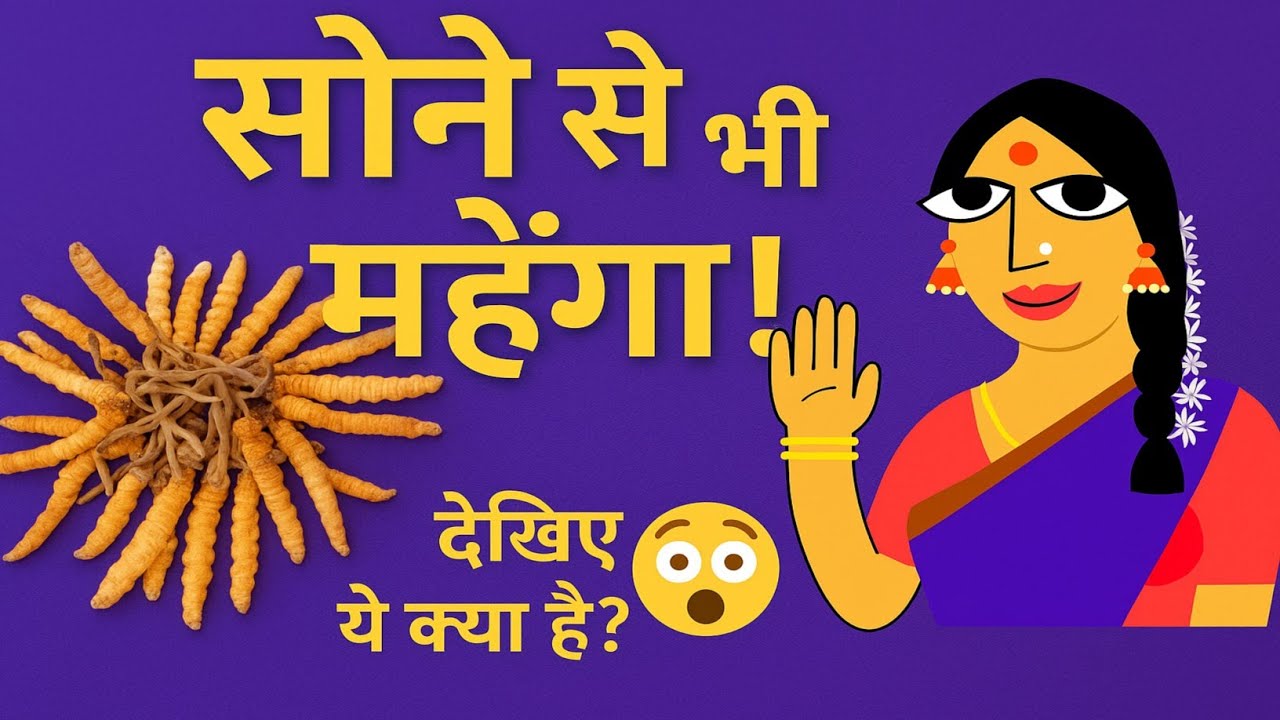 आज का सफर बुग्यालों की ओर || सोने से भी महैगी है याह जड़ी || देखिए ये क्या है? ( Caterpillar fungus)