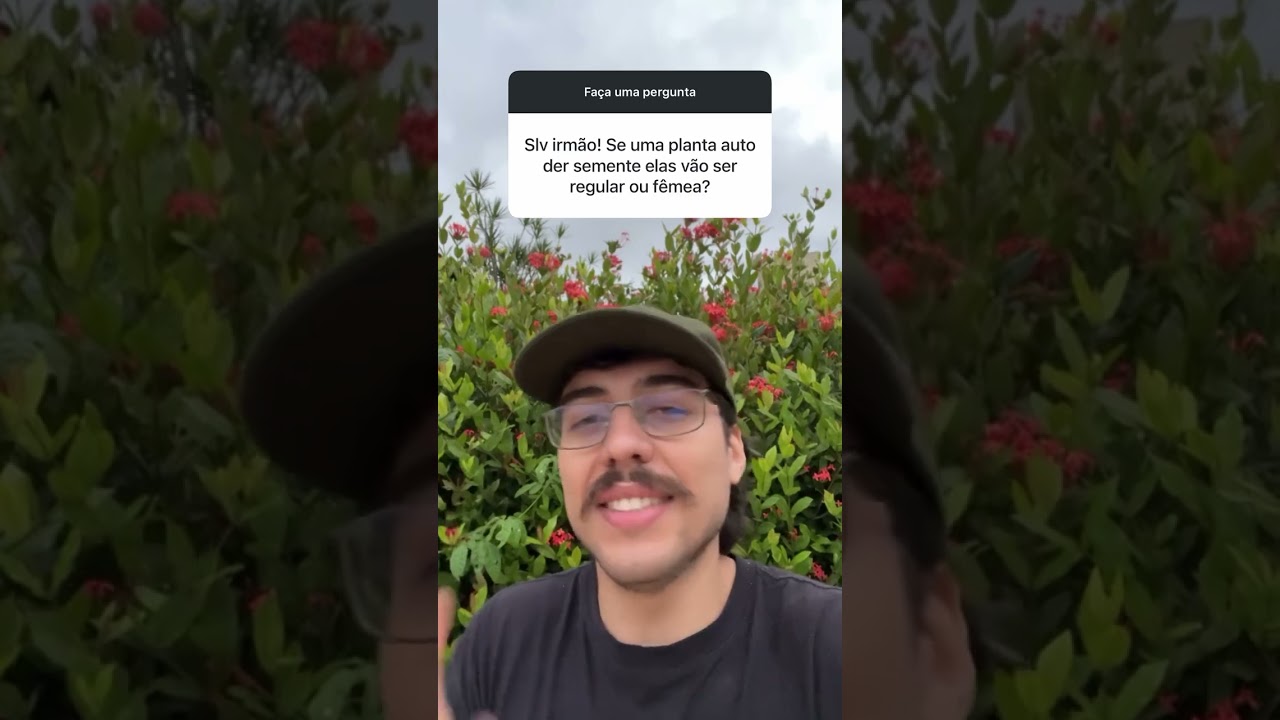 AUTOM&Aacute;TICA gerando SEMENTES - qual o resultado?