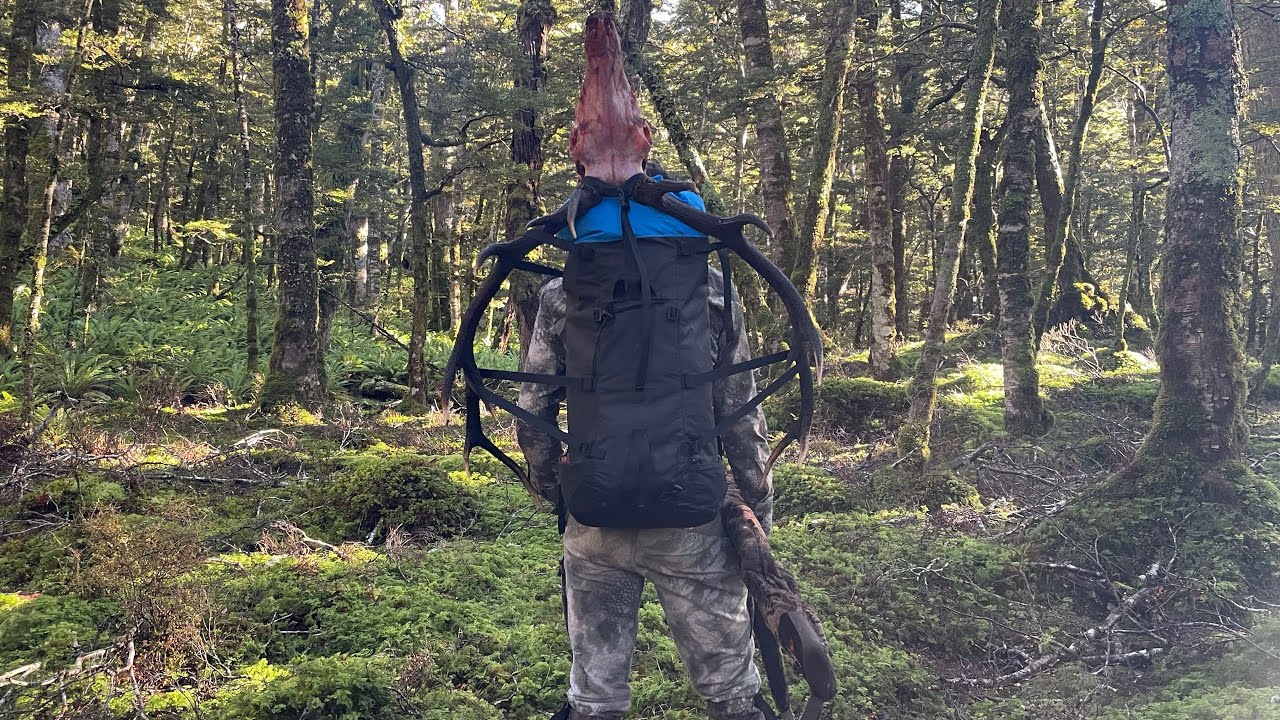 Red Stag Hunting NZ - The Red Stag Roar 2024 Part 2