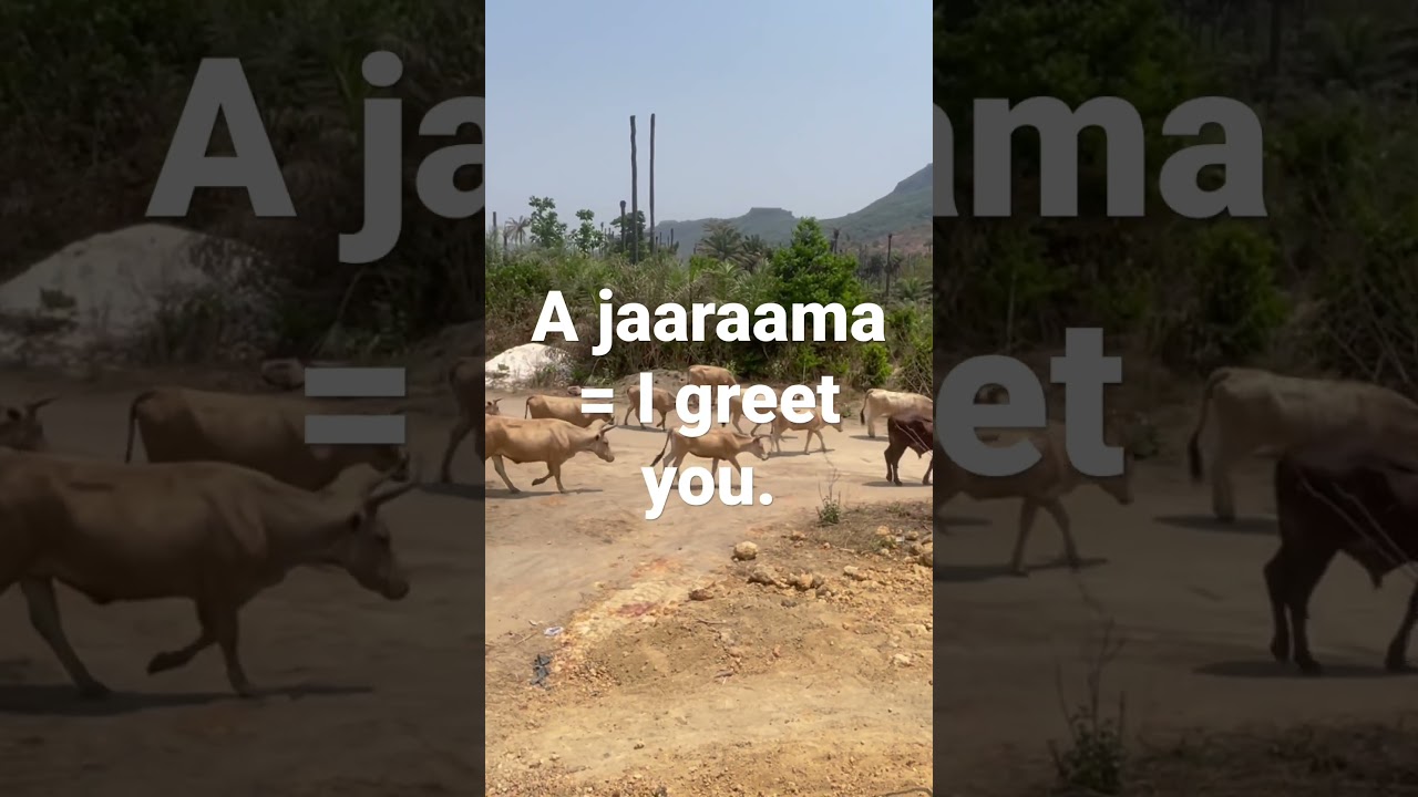 Pulaar lesson #1 | A jaaraama = I greet you. #shots #pulaar #pulaar_fulbe