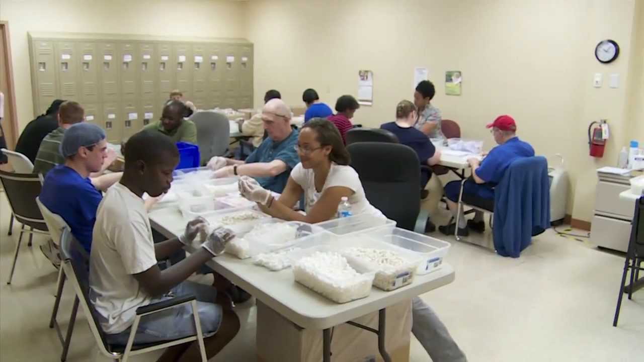 Chimes Delaware - Supported Employment for Individuals with Disabilities