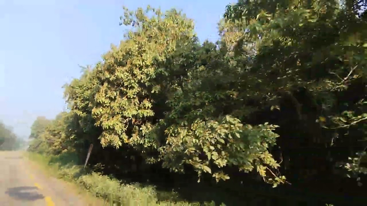 Mahendra highway Chandrapur Rautahat Nepal ( Ek jhalak)