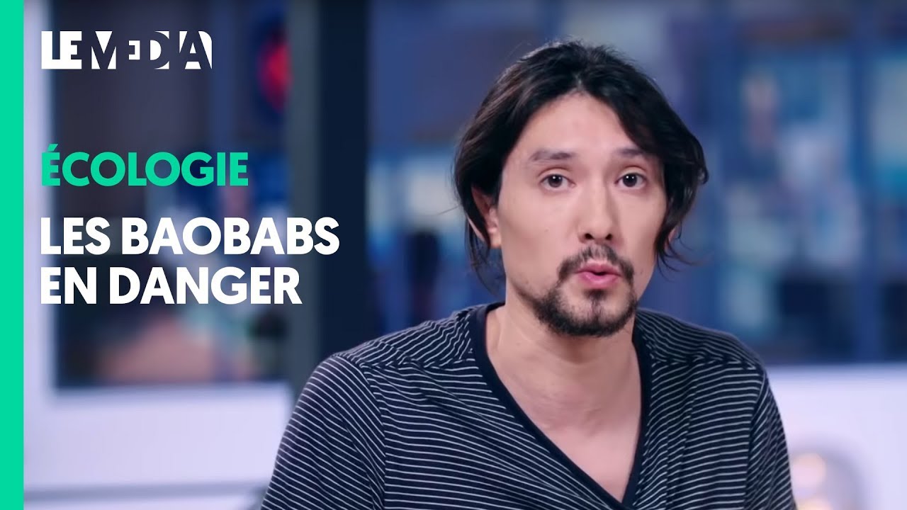 LES BAOBABS EN DANGER