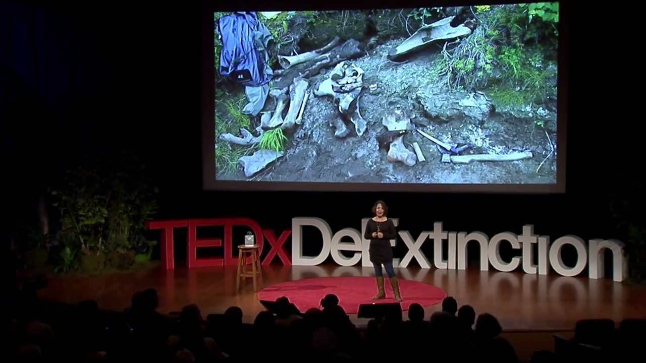 Древняя ДНК — что это такое и чем могло бы быть | Бет Шапиро | TEDxDeExtinction