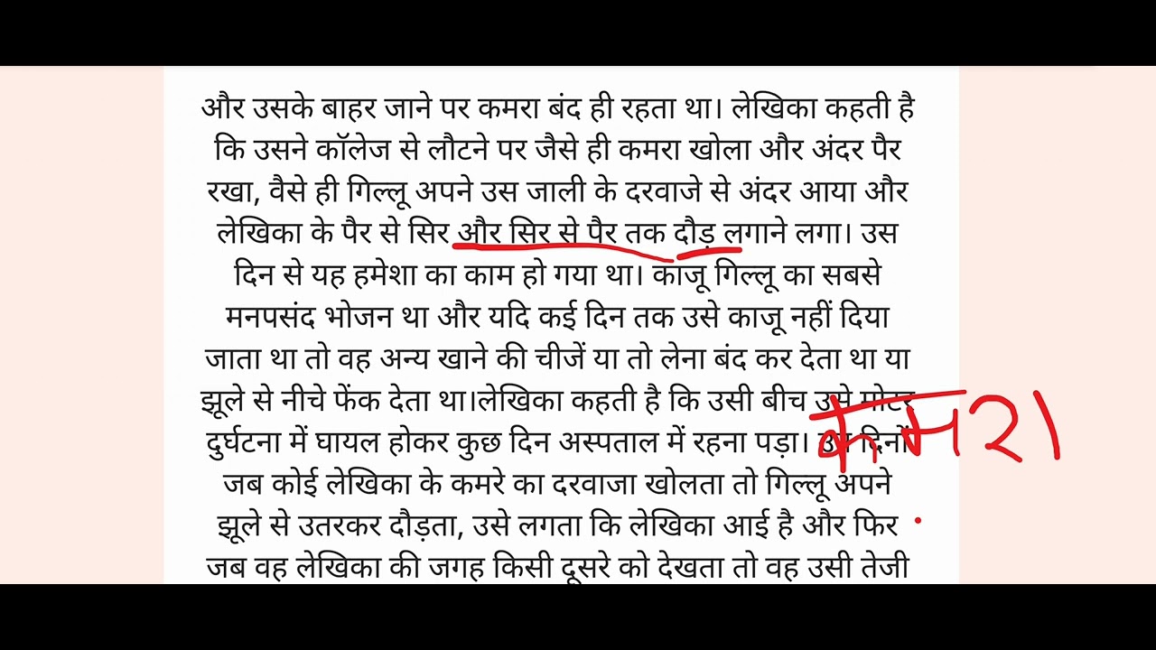 RAPID REVISION | Gillu class 9 | #class9 #explained #hindi 