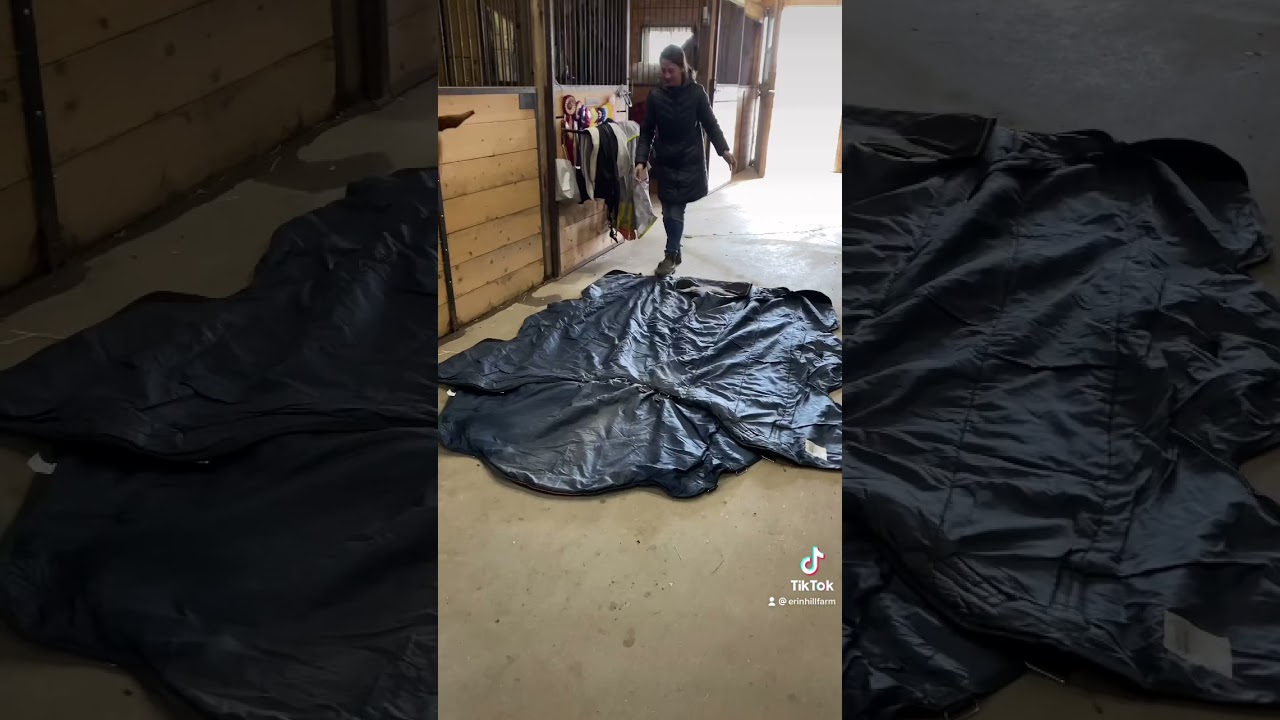 Horse blanket folding hack on Tiktok!