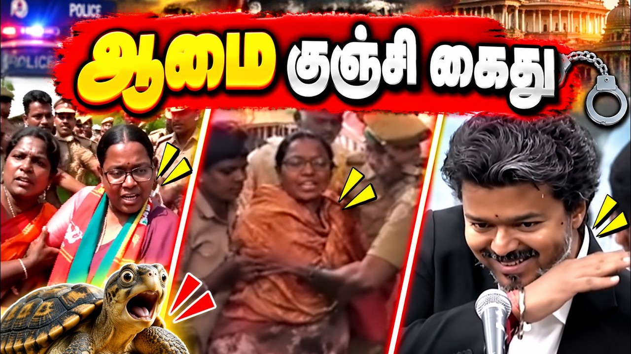 ஆமை குஞ்சி கைது! 😂 | அரசியல் அலப்பறை 😂 | Tamil Political Troll