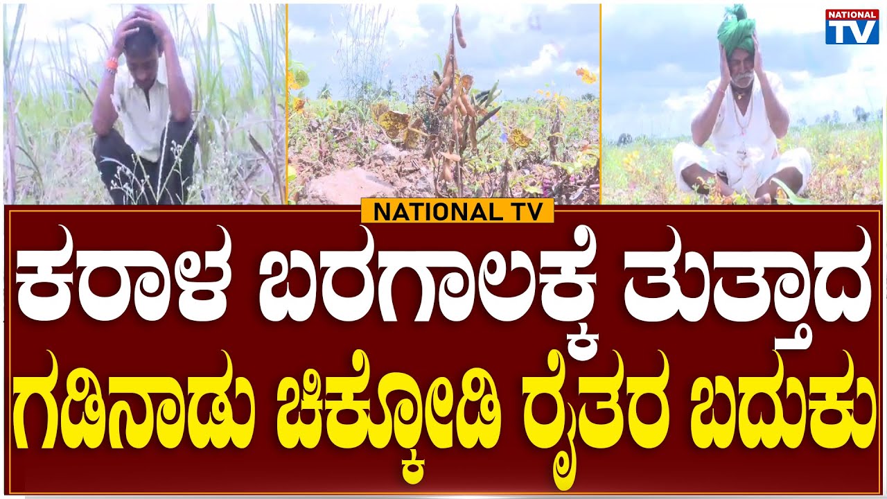 Chikkodi Breaking: ಕರಾಳ ಬರಗಾಲಕ್ಕೆ ತುತ್ತಾದ ಗಡಿನಾಡು ಚಿಕ್ಕೋಡಿ ರೈತರ ಬದುಕು | Farmers Life | National TV