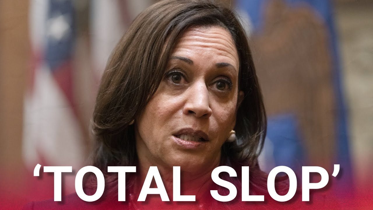 &lsquo;Total slop&rsquo;: Inside the Democrats&rsquo; &lsquo;rushed&rsquo; election autopsy report disaster