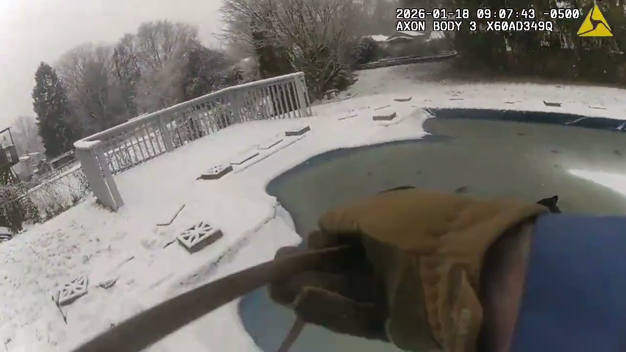 Dog Water Rescue