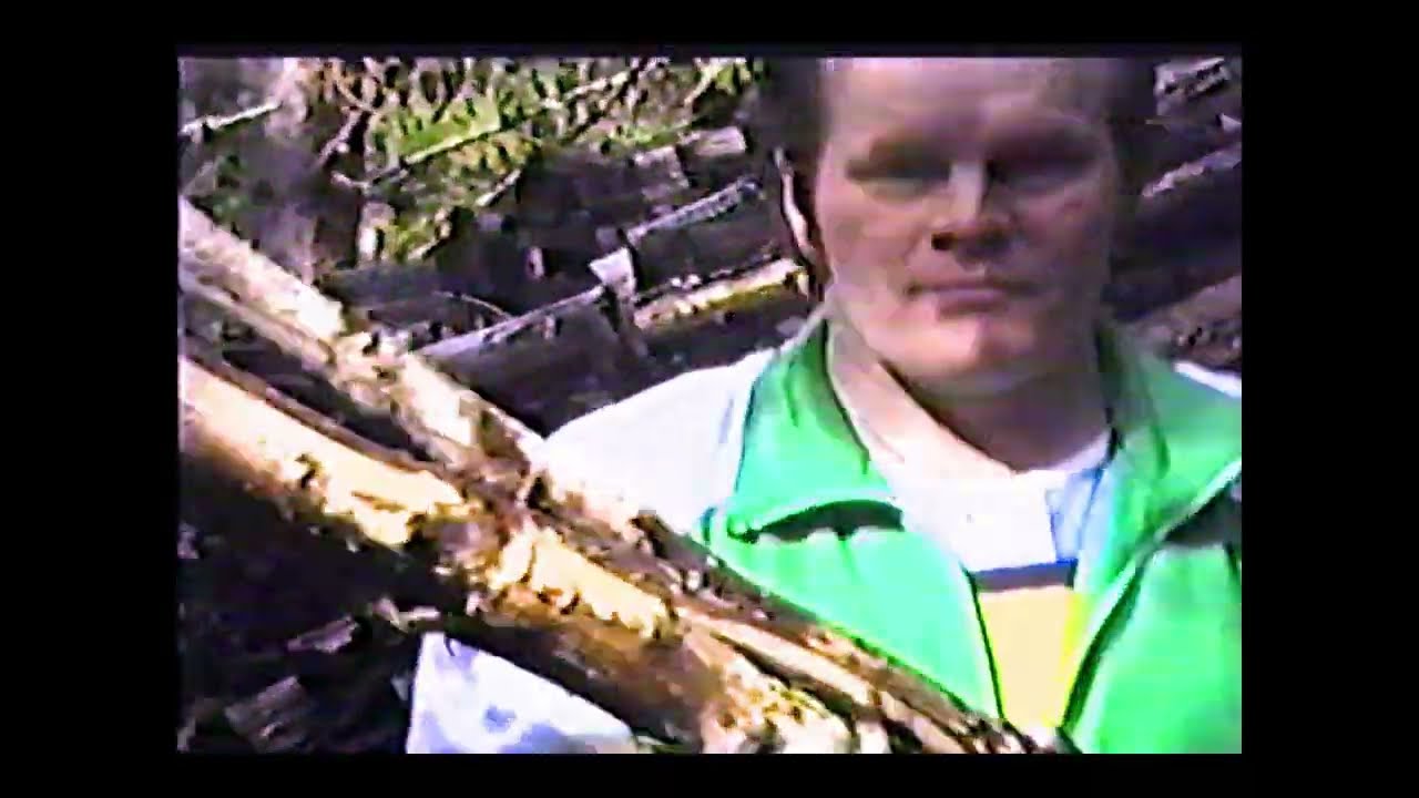 Kiskossa 1989